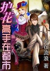 护花高手在都市完结版